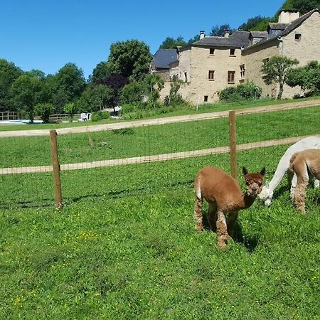 La Ferme Des Andes - Gite L'Atelier Apartment Quins Exterior photo