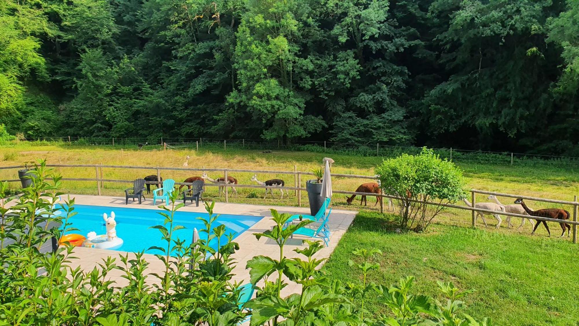 La Ferme Des Andes - Gite L'Atelier Quins Exterior photo