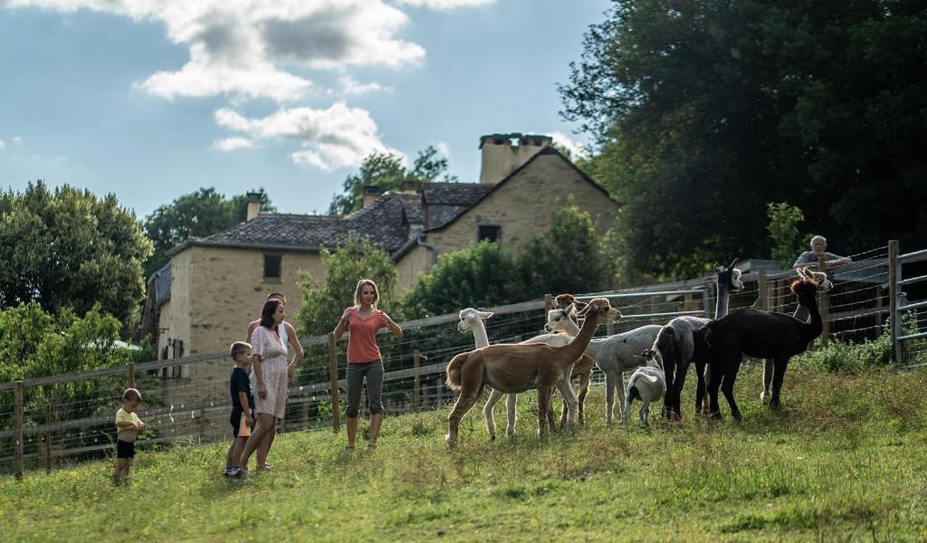 La Ferme Des Andes - Gite L'Atelier Quins Exterior photo