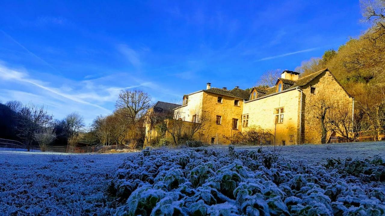La Ferme Des Andes - Gite L'Atelier Quins Exterior photo